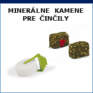 kamene pre činčily